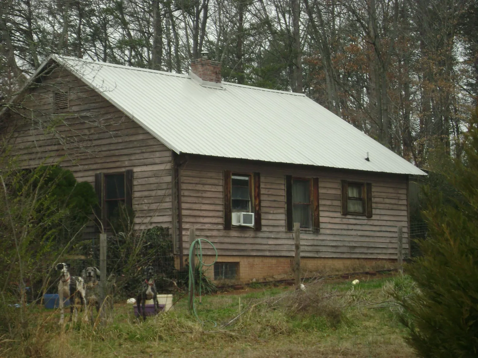 White metal roof on an old wood sided farmhouse, from a Asphalt Shingle Roof Repair job in Fort Wayne